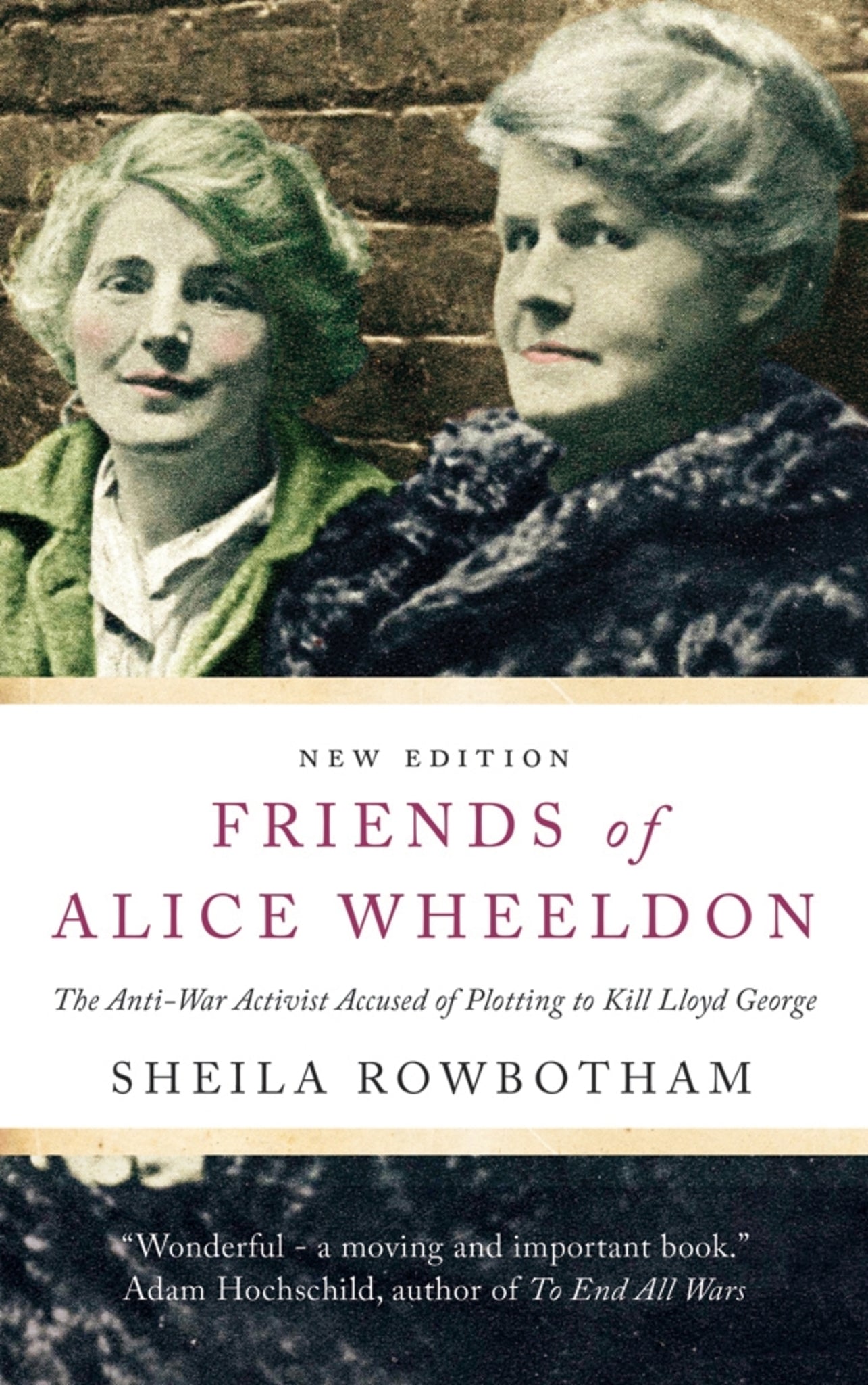 Cover image for Friends of Alice Wheeldon ISBN 9781583675557